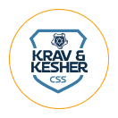 CSS Synagogue icon